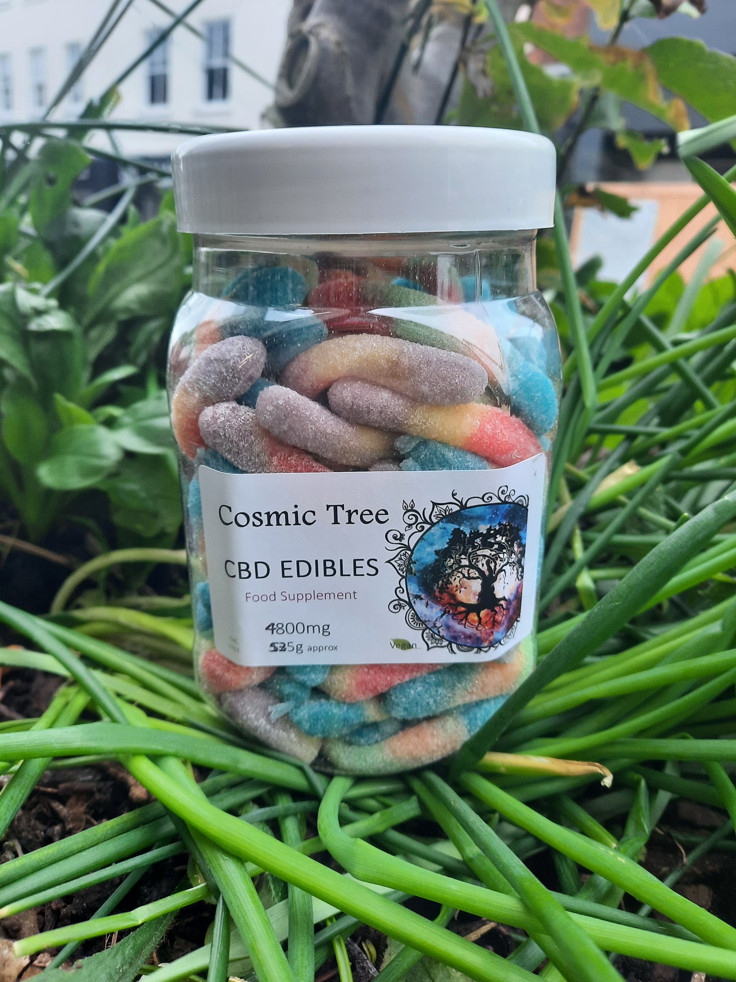 Cosmic tree broad spectrum cbd gummie worms extra large value pack(69mg per gummy) 4800mg per tub 535g