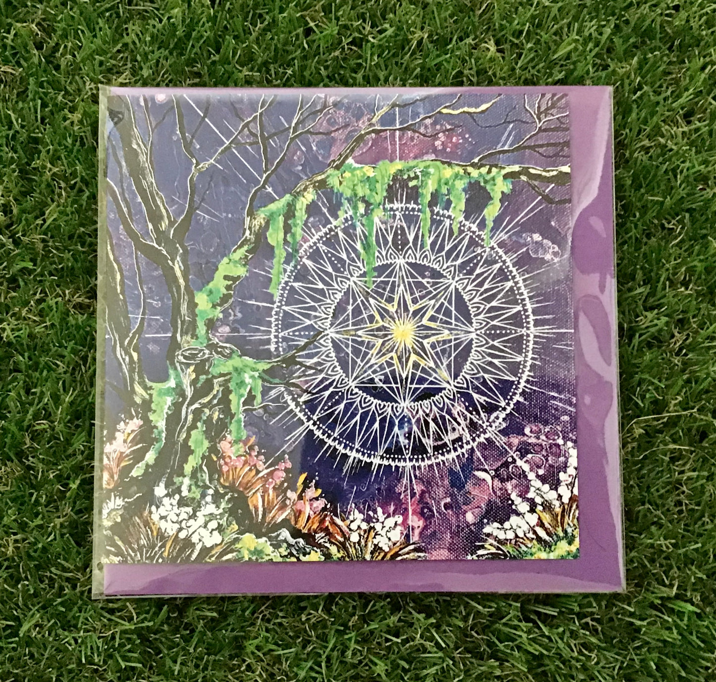 Mushroom forest art card collection