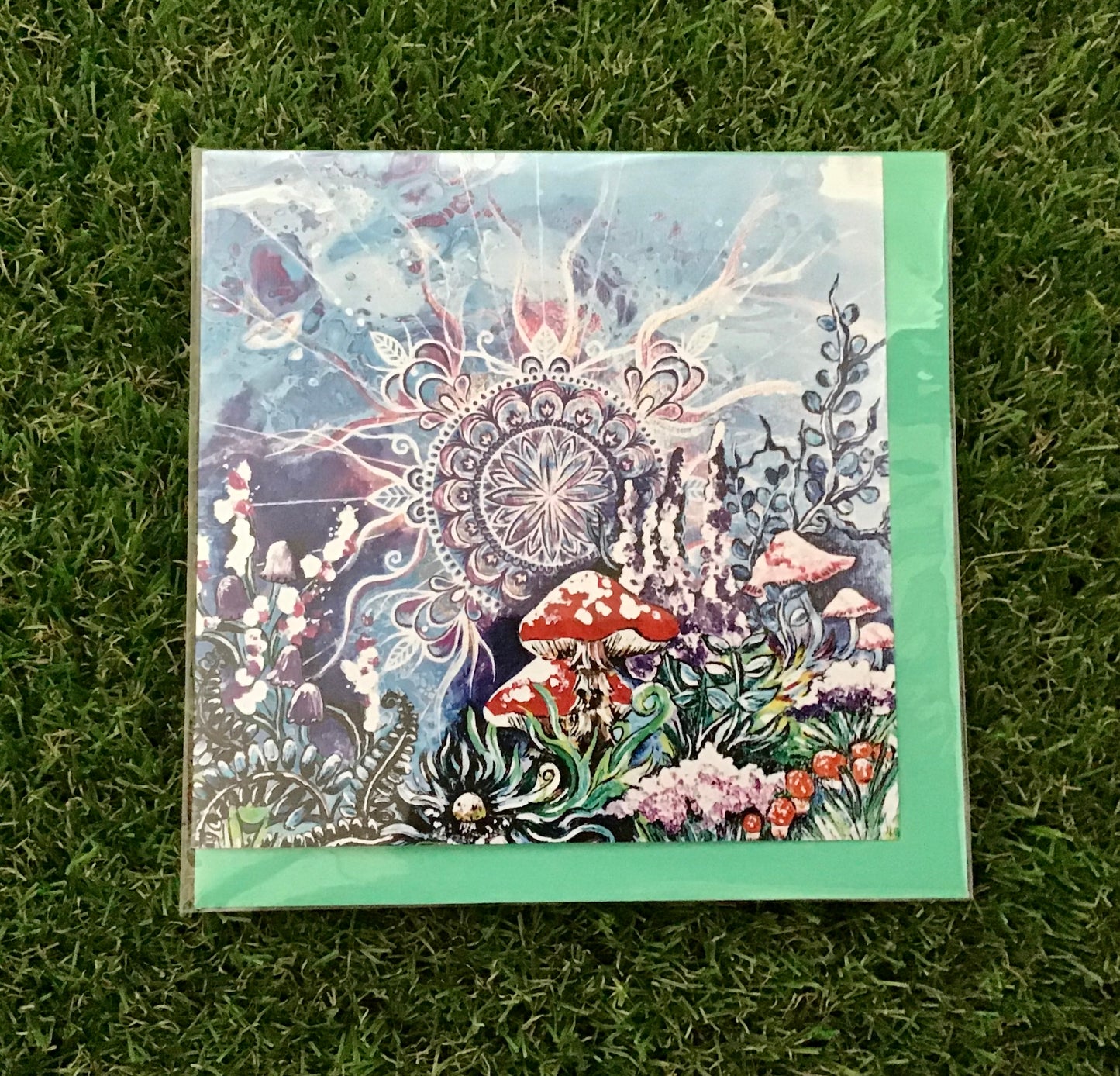 Mushroom forest art card collection