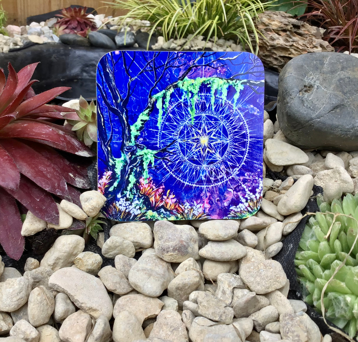 Mushroom forest 3 coaster set