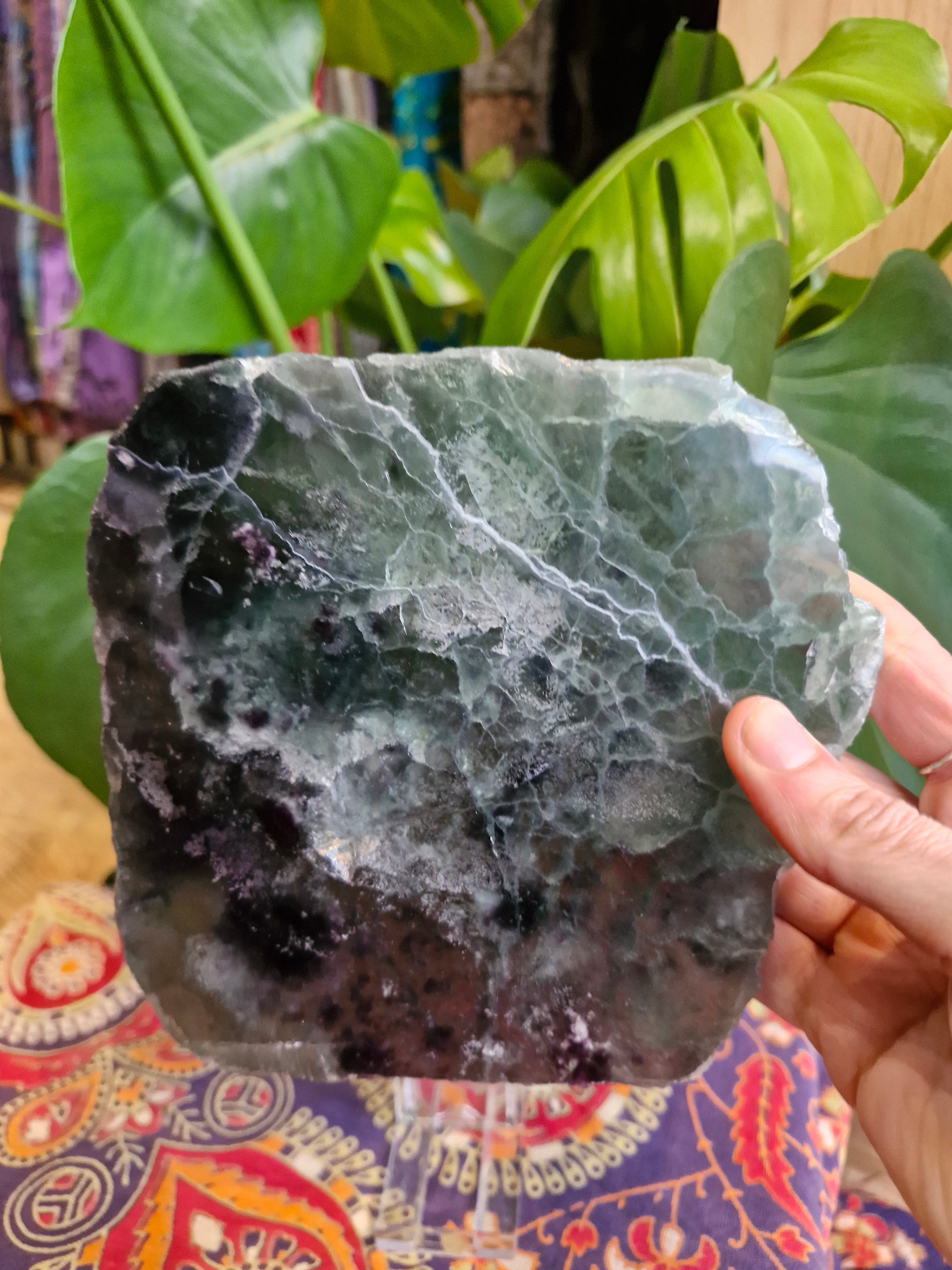 Flourite Polished Freeform Slab store