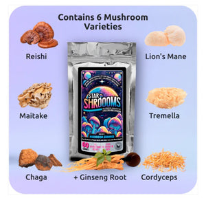 Star shrooms mushroom gummies vegan food supplement chaga lionsmane reishi cordyceps maitake shiitake nootropics