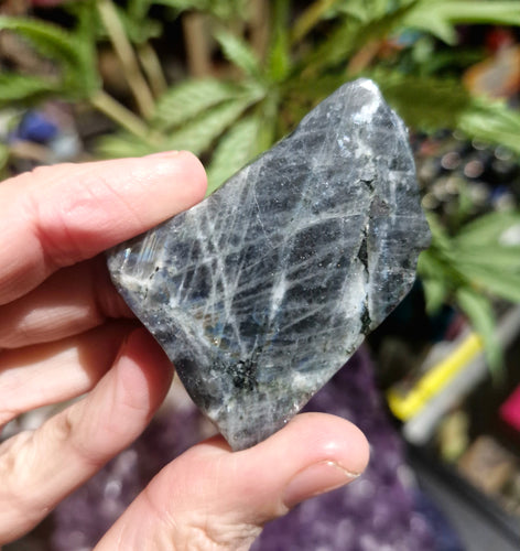 Labradorite polished slice from labrador Canada