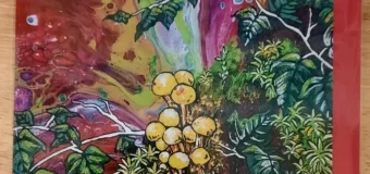 Art Cards and Prints