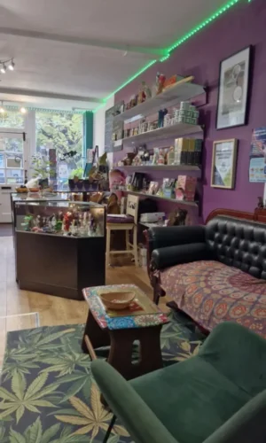 Consumption Café at Cosmic Tree