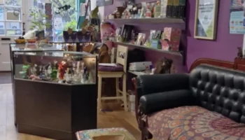 Cosmic Tree Events Inside Shop