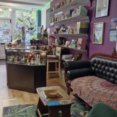 Cosmic Tree Events Inside Shop Cosmic Tree Events Inside Shop