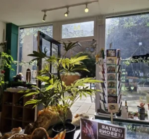 Cosmic Tree Shop Cosmic Tree Shop