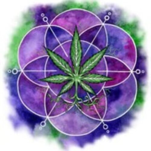 CBD E-liquids PLACEHOLDER