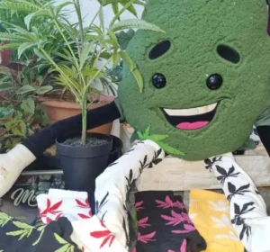 Buddy Wearing stock socks Buddy Wearing stock socks