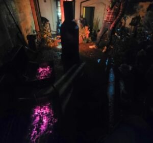 Cosmic Halloween Cosmic Halloween