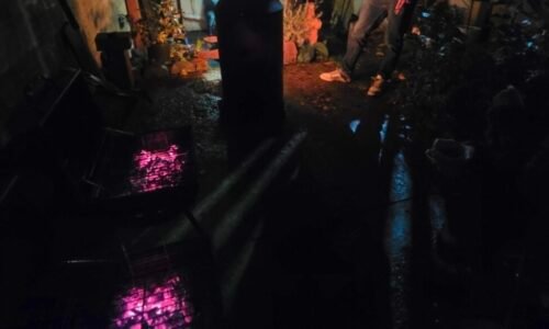 Halloween 2025 at Cosmic Tree