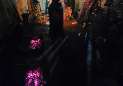 Halloween 2025 at Cosmic Tree