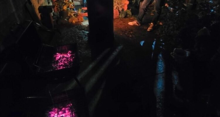 Halloween 2025 at Cosmic Tree