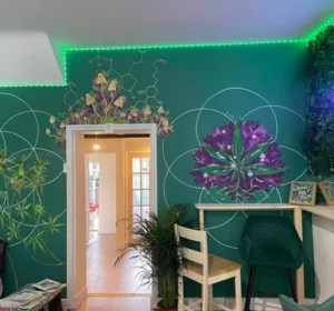 Medical Cannabis Cafe area 2 Medical Cannabis Cafe area 2