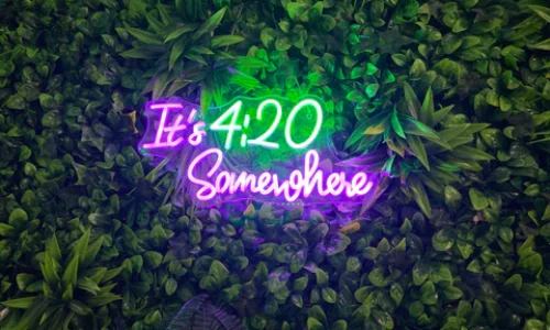 Medical Cannabis Information