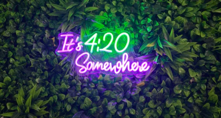 Medical Cannabis Information