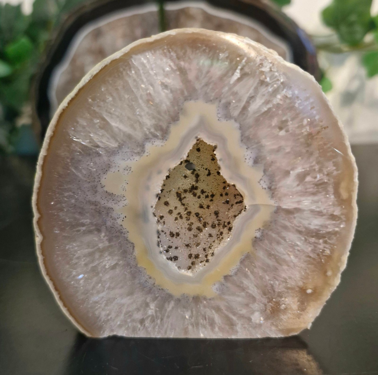 Agate Quartz Polished Freeform Slice