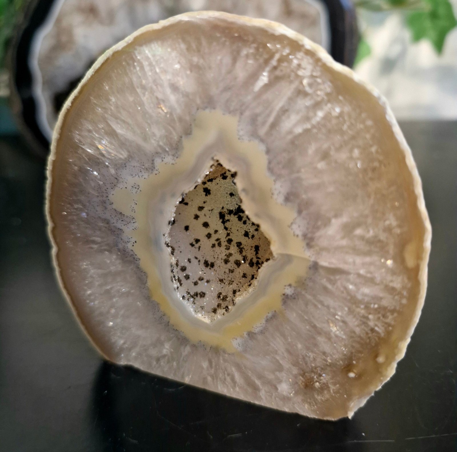 Agate Quartz Polished Freeform Slice