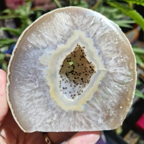1000031688 Agate Quartz Polished Freeform Slice