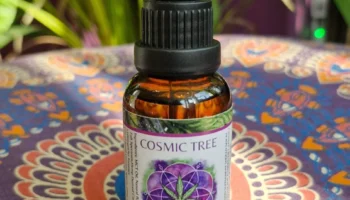 CBD OIL2