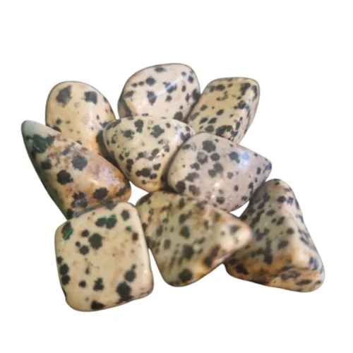 Dalmation Jasper Polished Tumblestone