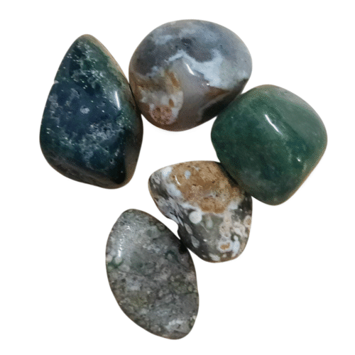 Ocean Jasper Polished Tumblestone