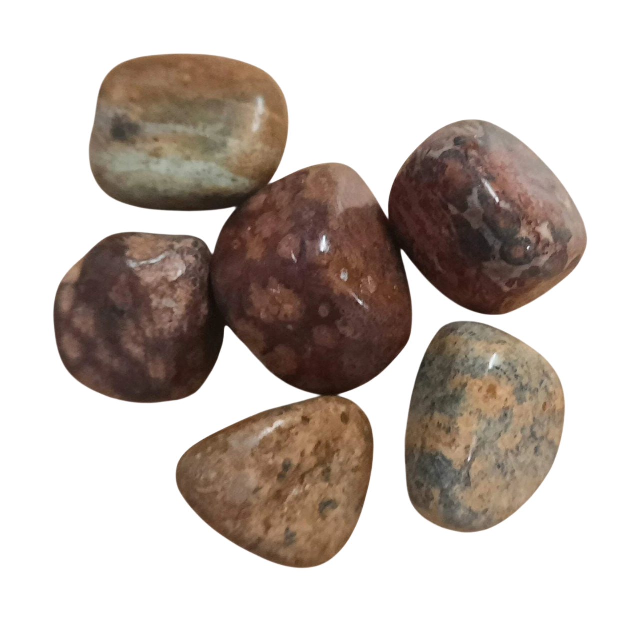 Leopard Skin Jasper Polished Tumblestone Leopard Skin Jasper Polished Tumblestone