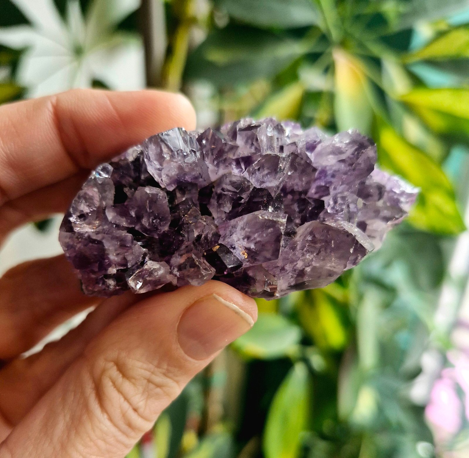 Crystal Healing Protection Pk