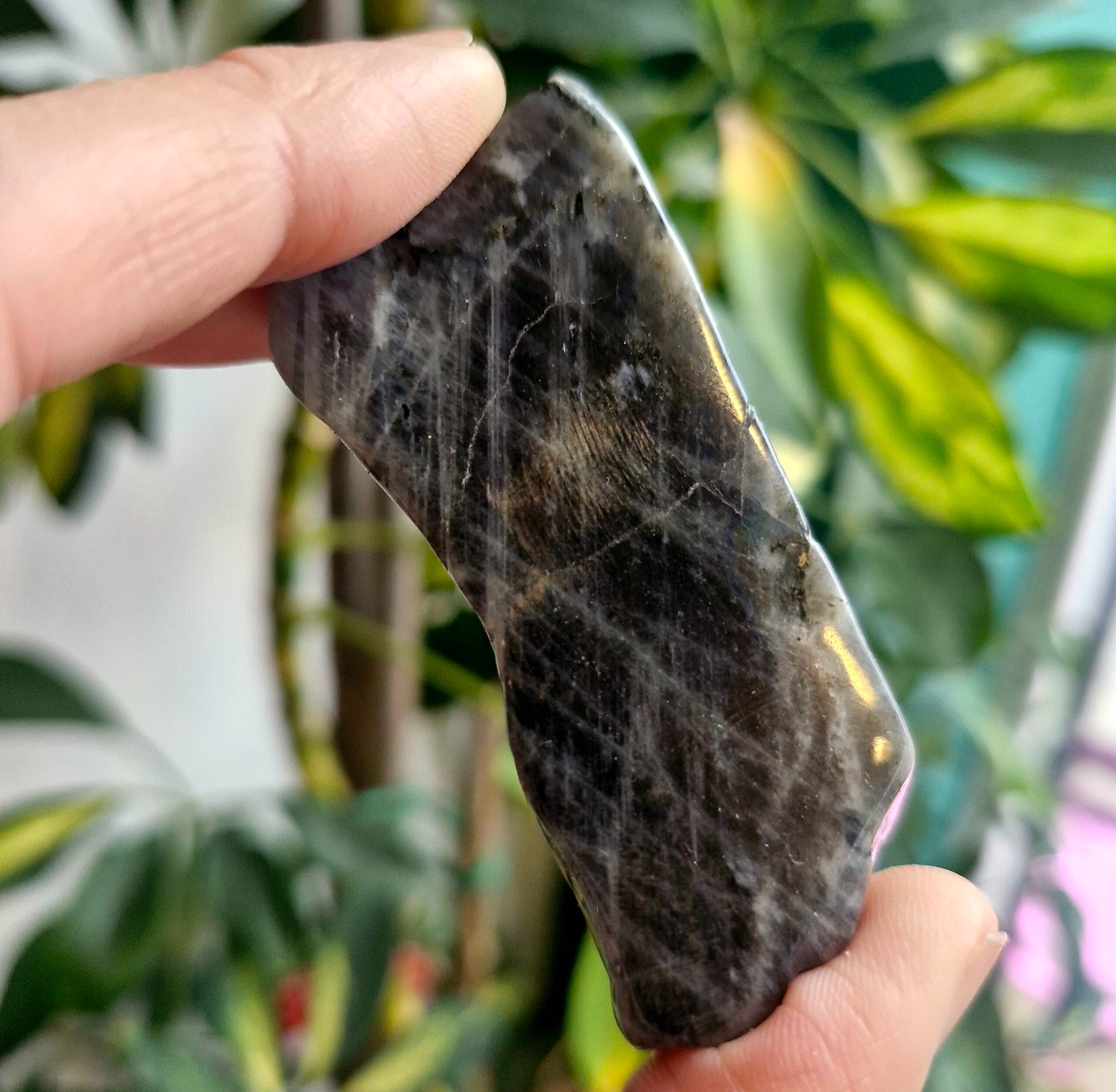 Crystal Healing Protection Pk