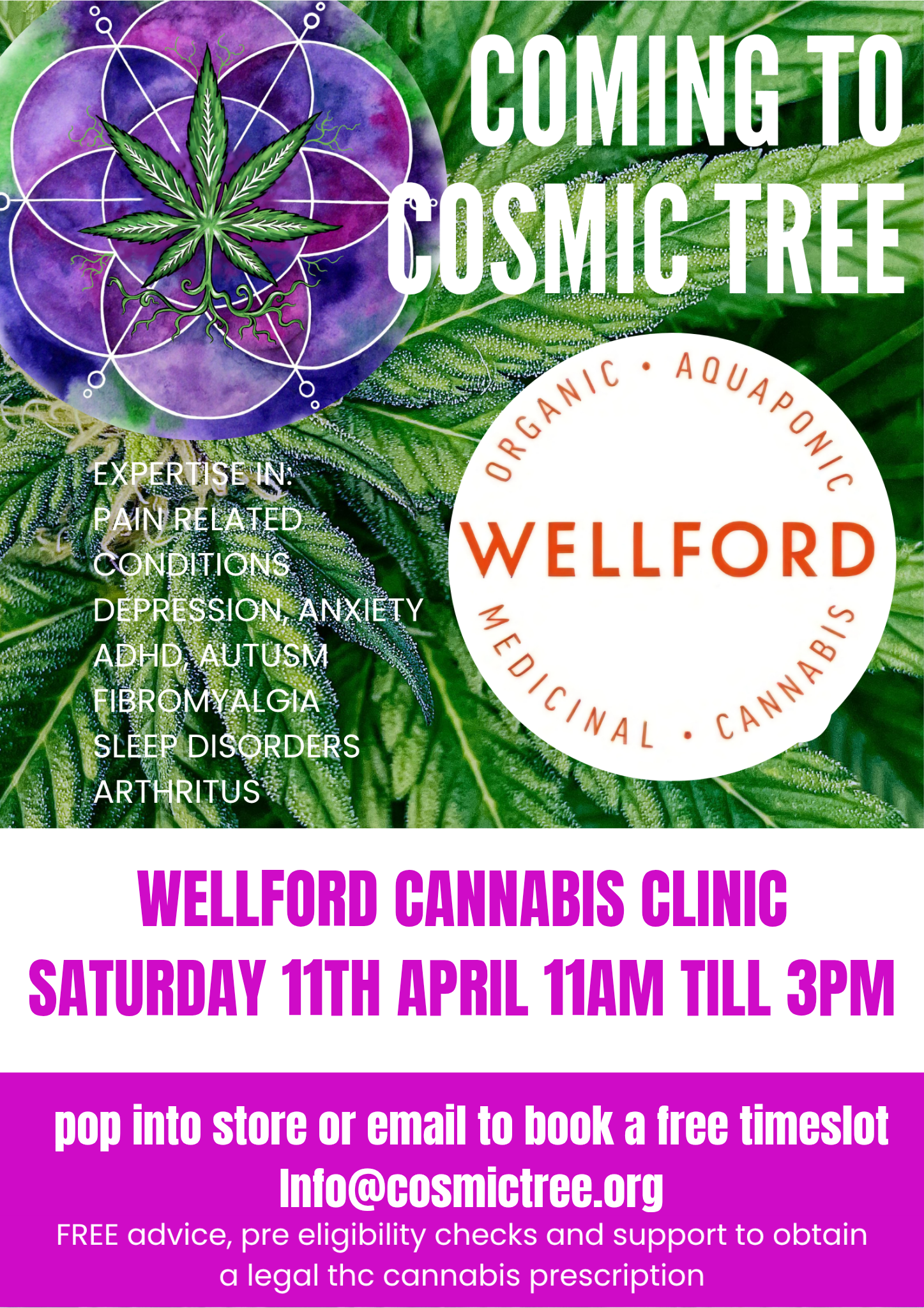 wellford medical cannabis clinic coming to cosmic tree wellford medical cannabis clinic coming to cosmic tree