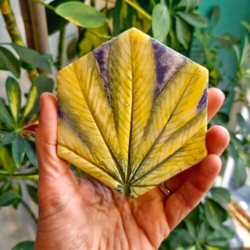 Cannabis Ceramic Coaster Handmade Kelly Noble Illustration