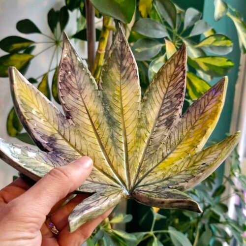 Ceramic Marijuana / Cannabis Leaf Dish