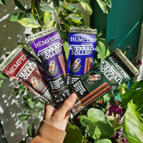 Hemper King Size Glass Tipped Herbal Rolls 2PK