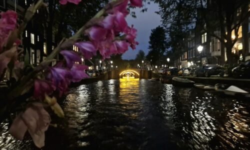 Cosmic Tree Does Amsterdam