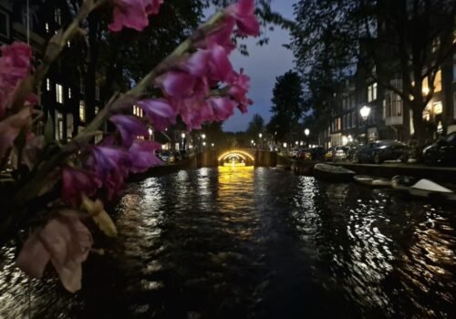 Cosmic Tree Does Amsterdam