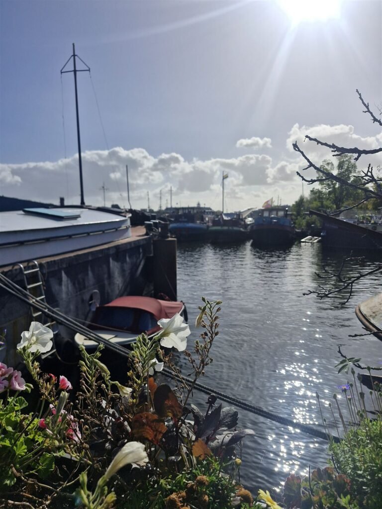 A sunny view of moored boats and sparkling water from our Amsterdam houseboat